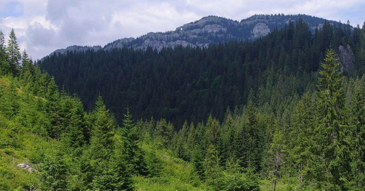 Chata Vypo Ліптовський Ян Екстер'єр фото